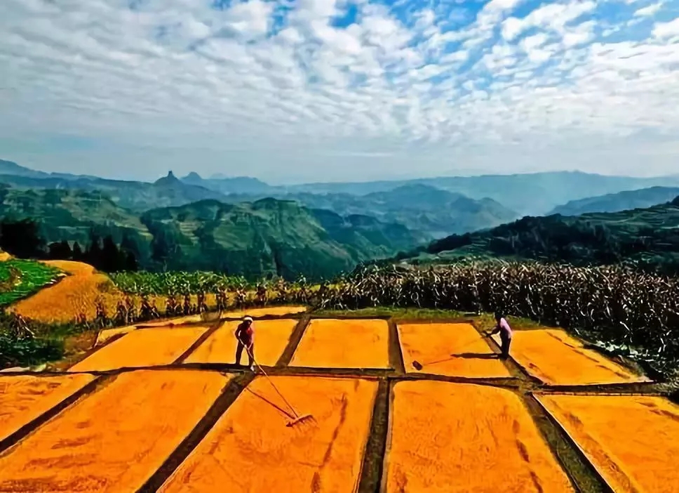 農村宅基地政策變化，一塊宅基地不同補償方式！